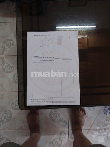 Bán Đất   diện tích 28800 tặng nhà cấp 4 tặng 5000 cây cafe cho trái n
