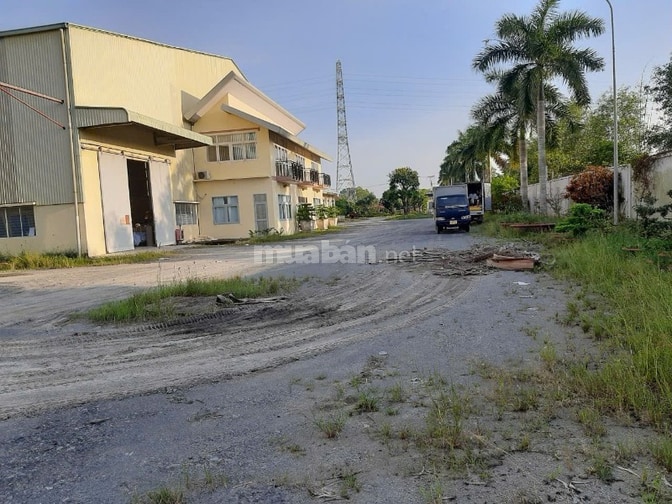 Cho thuê kho xưởng dt từ 1.000m2 Long Cang, Long An, Giá  75k đến 80k
