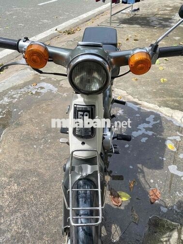 Honda Cub 81