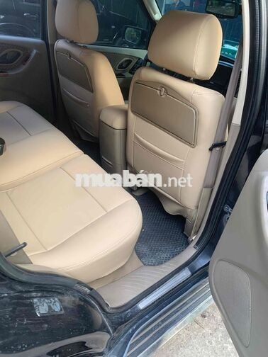Ford Escape STD 2008 Số tự động Xám