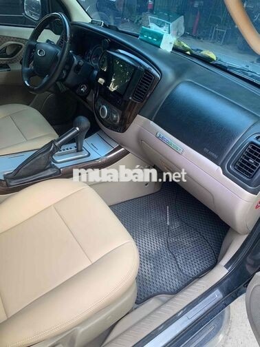 Ford Escape STD 2008 Số tự động Xám