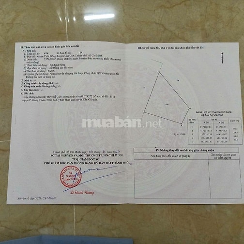 Bán đất Voi Giá Nếp Xã An Thới Đông Huyện Cần Giờ TPHCM 