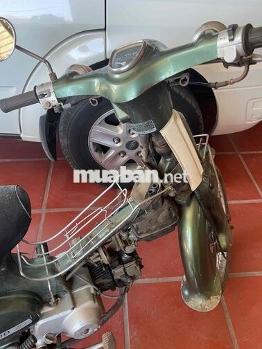 Honda Cub 1981 70cc Xanh