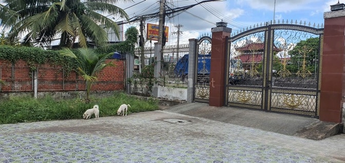 Chính chủ bán nhà vườn mặt tiền QL1 Bình Phú, 661,6 m2, ngang 15 m