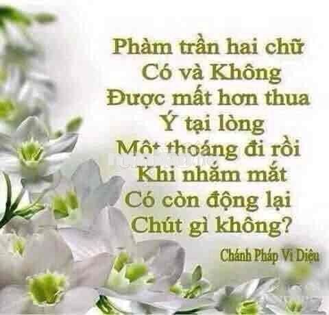 cần bán gấp nhà mặt tiền Đào Trí 10x22 đối diện chung cư