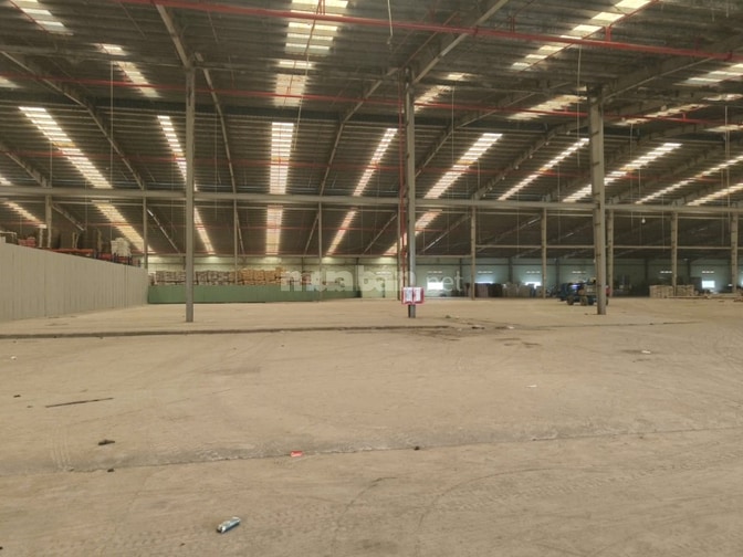 Cho thuê kho xưởng 6000m2 Cụm công nghiệp Đức Hòa Long An giá 3 usd/m2