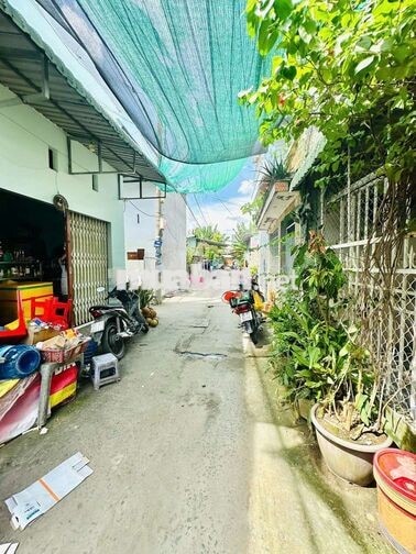 CHO THUÊ NHÀ NGUYÊN CĂN – THUÊ VÀO SỬA SANG NGAY LẬP TỨC