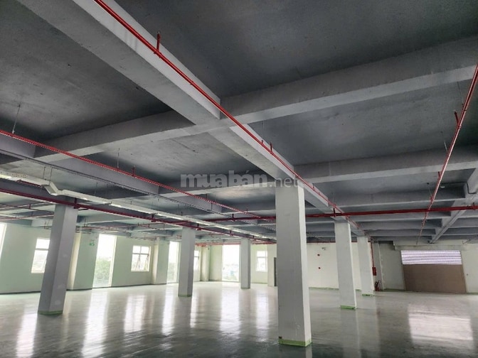Cho thuê xưởng 50.000m2 KCN Đức Hòa Long An 