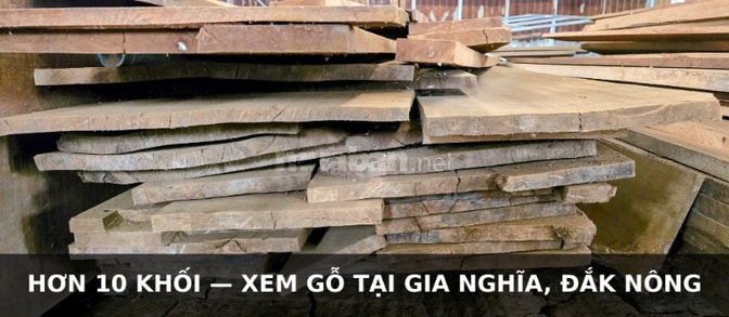 Bán gỗ kiền kiền xẻ sấy - làm cửa, khuôn bao, cầu thang