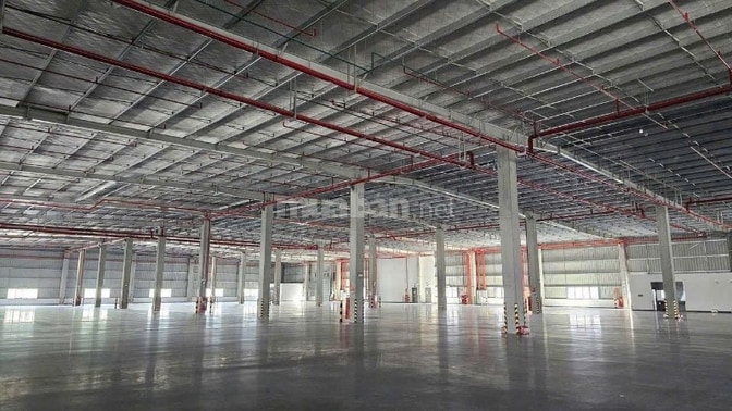 Cho thuê xưởng 50.000m2 KCN Đức Hòa Long An 