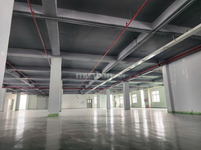 Cho thuê xưởng 50.000m2 KCN Đức Hòa Long An 