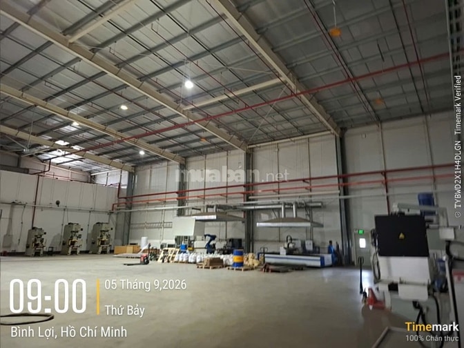 Cho thuê xưởng 50.000m2 KCN Đức Hòa Long An 