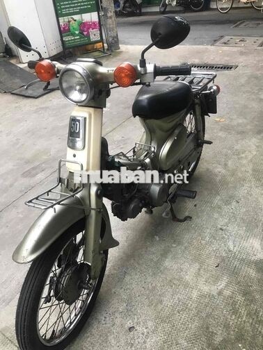 Honda Cup 81 Vàng kem
