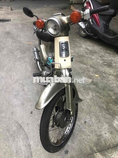 Honda Cup 81 Vàng kem