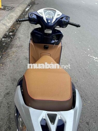 Honda Lead Xanh, Nâu Xe tay ga