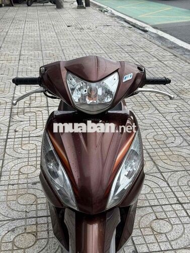Vision Nâu biển 47