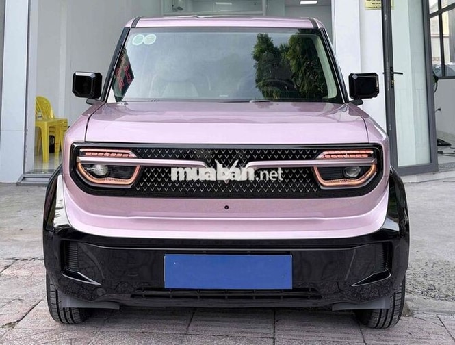 VF3 25 Tím Siêu Lướt 1.500km ĐỘ ĐẸP