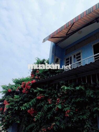PHÒNG TRỌ Q.12, ĐIỆN 3K, WC RIÊNG.