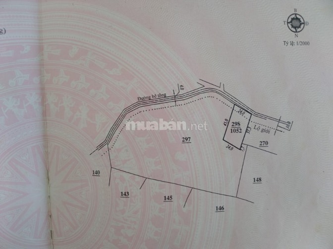 Biệt thự sân vườn khu Thành Công, Xã Nam Ban, Lâm Hà, Lâm Đồng