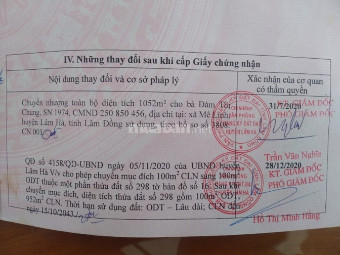 Biệt thự sân vườn khu Thành Công, Xã Nam Ban, Lâm Hà, Lâm Đồng