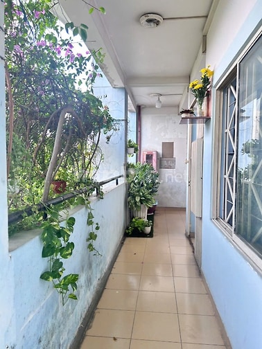 CC III Bùi Minh Trực P5 Q8, 44,3m2 SHR 1PN lầu 2 tiện di chuyển 