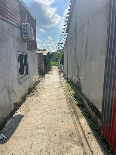 Bán đất chính chủ tại ngõ 18 thôn Siêu Quần xã Tả Thanh Oai, Thanh Trì