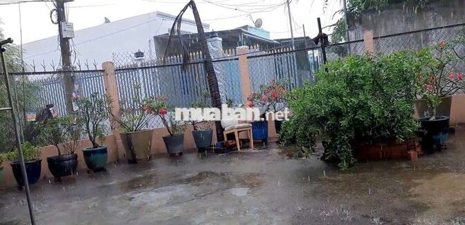 CẦN BÁN GẤP CĂN NHÀ CẤP 4 TRẢ NỢ