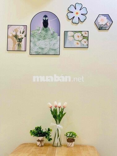 Phòng full nội thất mặt tiền đường số 41, Phường Tân Quy, Q7.