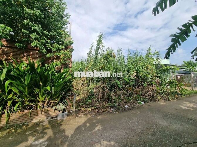 BÁN ĐẤT 172.8M² (8.3M x 20.75M) - LONG TUYỀN, BÌNH THỦY, CẦN THƠ