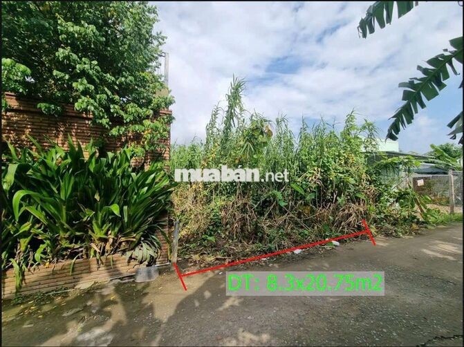 BÁN ĐẤT 172.8M² (8.3M x 20.75M) - LONG TUYỀN, BÌNH THỦY, CẦN THƠ