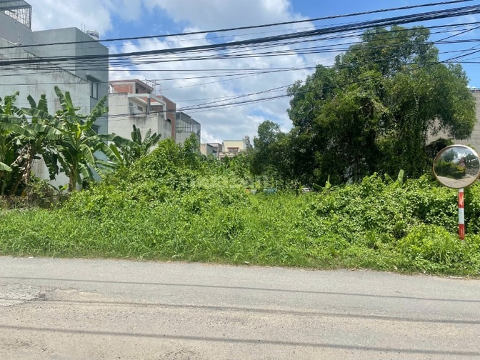 Cho thuê lô đất diện tích 1000m2