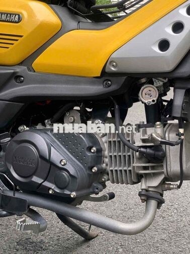 Yamaha PG-1 2024 Vàng 5000km