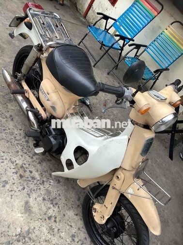 Cub 50 2009 Vàng cho học sinh đi học