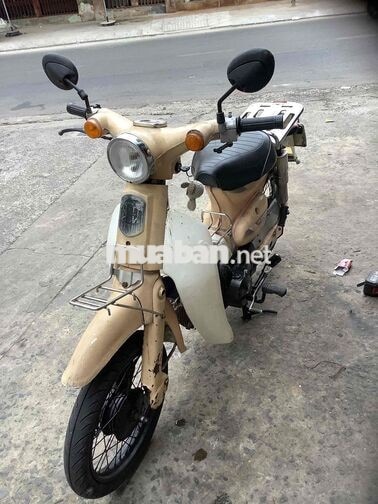Cub 50 2009 Vàng cho học sinh đi học