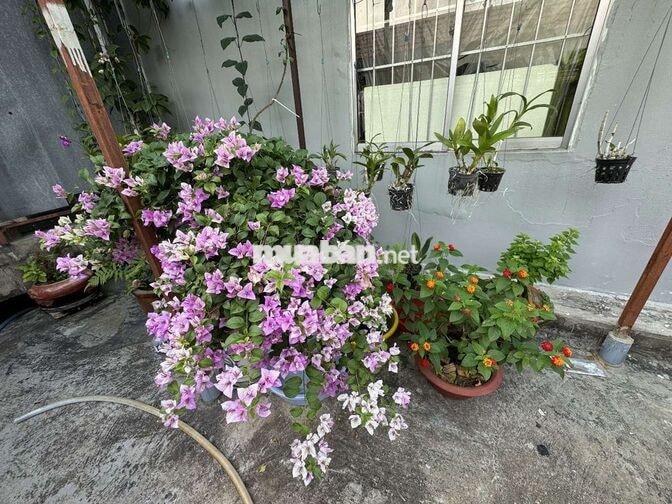 TÔI CHỦ CHO THUÊ PHÒNG GIÁ RẺ 3 TRIỆU ƯU TIÊN SV ĐH KINH TẾ CHO SẠC XE