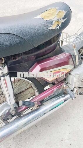 Honda Dream II Đỏ mận