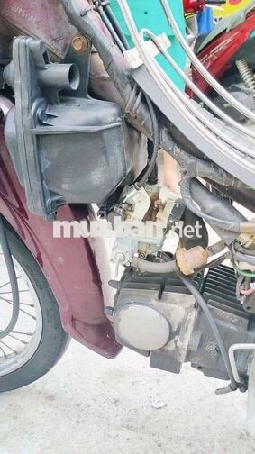 Honda Dream II Đỏ mận