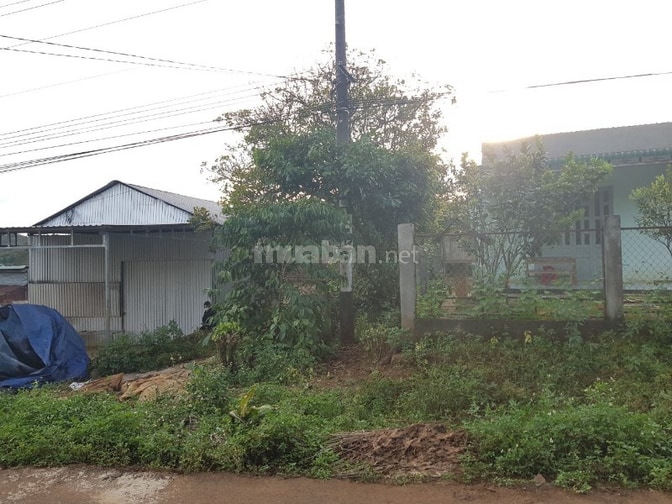 CHÍNH CHỦ BÁN NHÀ VƯỜN VIEW HỒ, ĐƯỜNG 12M, CHỈ 850TR