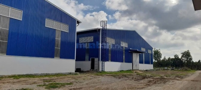 CHO THUÊ KHO 1.000M2-3.000M2 - 11.000M2 Cần Giuộc, Long an  