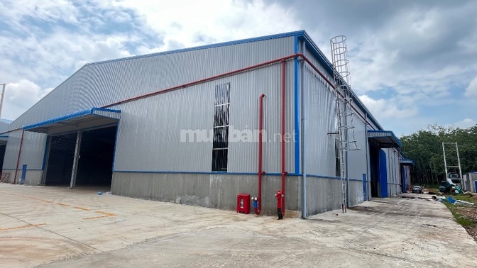 CHO THUÊ XƯỞNG MỚI XÂY KHUÔN VIÊN 5000m XƯỞNG 3000m2 GIÁ CHỈ 150tr 