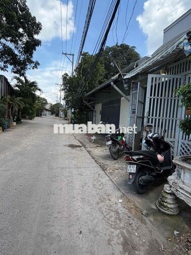CHO THUÊ NHÀ NGUYÊN CĂN- SÁT VÁCH BÁCH HOÁ XANH FULL NỘI THẤT