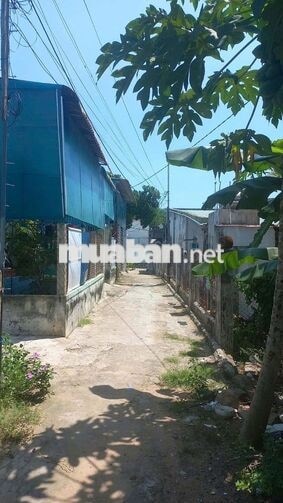 BÁN ĐẤT LONG HẢI – CÁCH BIỂN CHỈ 1KM – QUY HOẠCH ĐƯỜNG LỚN MỞ MẶT TIỀN