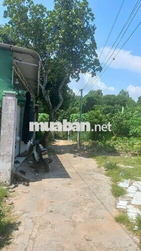 BÁN ĐẤT LONG HẢI – CÁCH BIỂN CHỈ 1KM – QUY HOẠCH ĐƯỜNG LỚN MỞ MẶT TIỀN