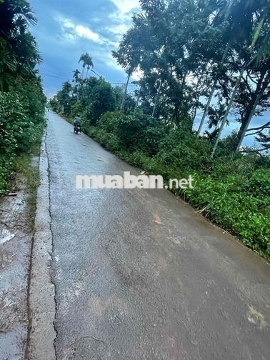 Bán đất chính chủ - Phường Tân Lập