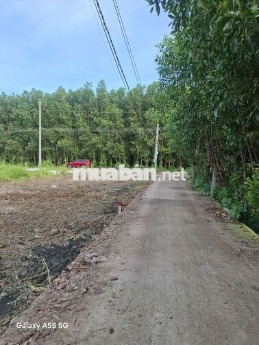 Đất Thích Hợp Xây Nhà Vườn - Phòng Trọ