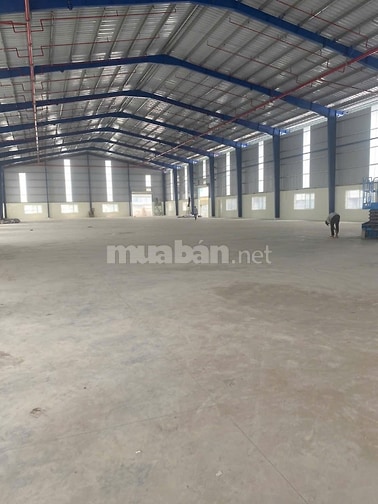 Cho Thuê Xưởng 4.400m2 KCN Hải Sơn, Đức Hòa, Long An - Giá Chỉ 3,5 USD