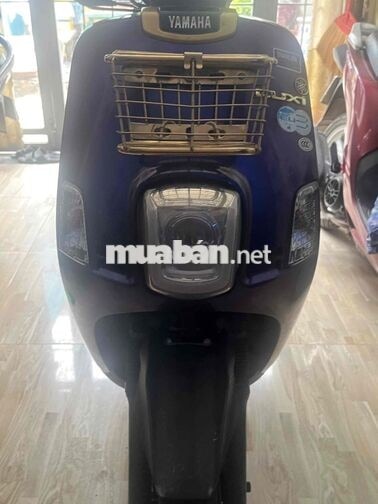 Yamaha Cuxi Tím