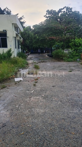 Cho Thuê Đất 40.000m2 mặt tiền Tây Thạnh, Tân Phú có ngăn lẻ 500m2 
