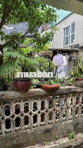 cho thuê nhà chính chủ tại số 11 ngách 2 ngõ liên việt