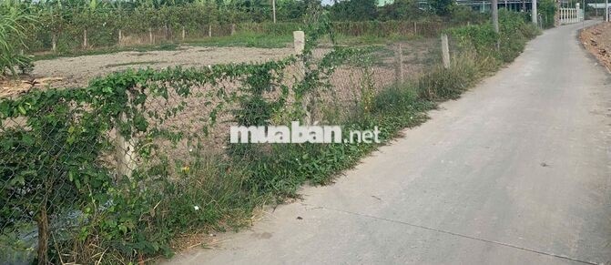 Cần bán gấp 01 nền đất SHR, 100% thổ cư